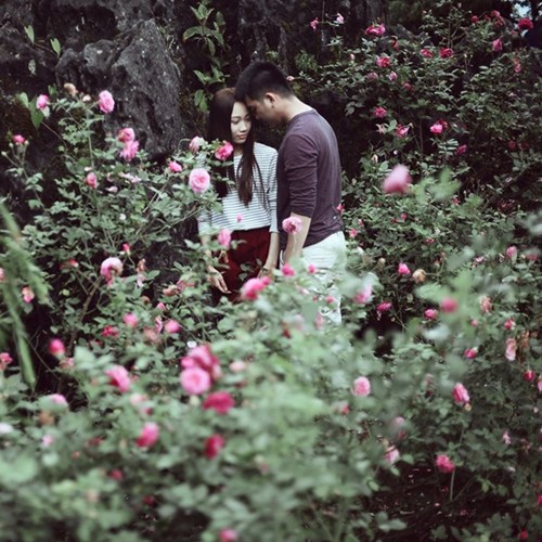 Núi Hàm Rồng - Nơi có bụi hoa hồng leo lãng mạn