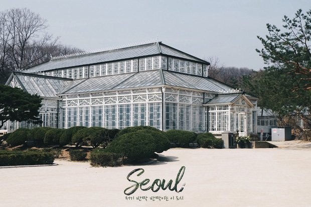 Tung tăng khám phá đất nước xinh tươi Hàn Quốc chọn vẹn Seoul Jeju 