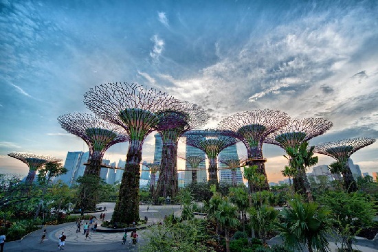 Kinh nghiệm đi Gardens by the Bay ở Singapore